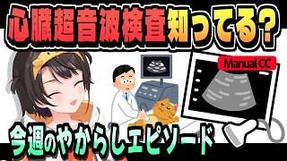 心エコーで条件がそろった結果【大空スバル/ホロライブ/切り抜き/CC/clip】