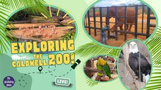A Wild Safari at Caldwell Zoo!