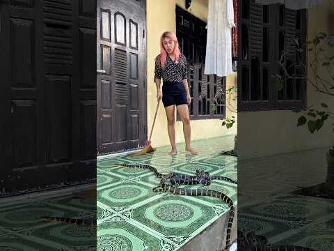 Cemong Kaget Lihat Ular Saat Vebby Lagi Ngerumpi! #shortvideo #shorts #snake