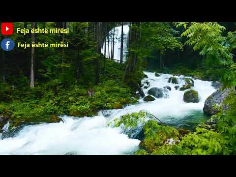 43 Surja Ez Zuhruf   Stoli ari  Kuran Shqip