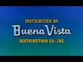 Buena Vista Distribution Co Inc 1983