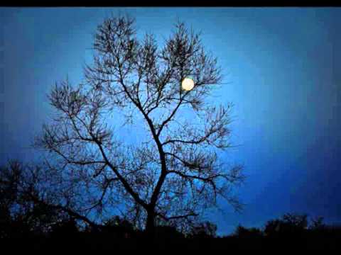 Relax to the Bible - Psalm 10