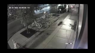 Brass Rail Bike Thief