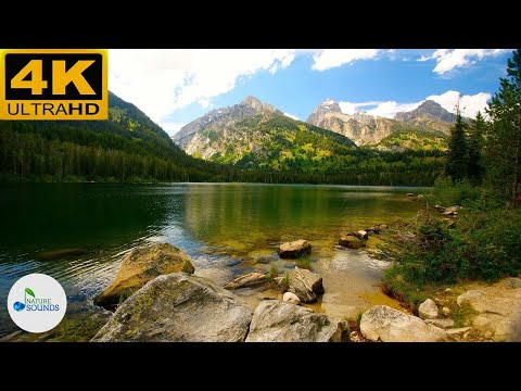 Beautiful Relaxing Music for Stress Relief  Sleep Music, Ambient Music-NATURE TUNES - RELAXING MUSIC