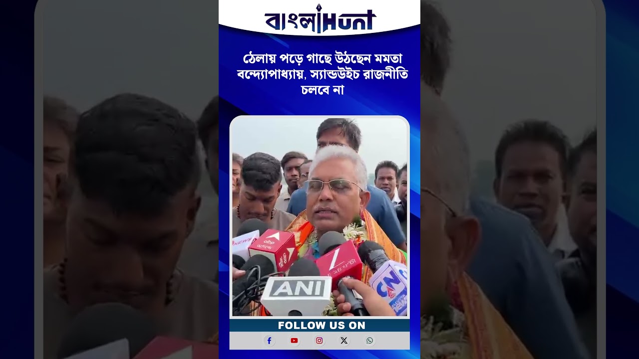 ঠেলায় পড়ে গাছে উঠছেন মমতা বন্দ্যোপাধ্যায়, স্যান্ডউইচ রাজনীতি চলবে না : দিলীপ ঘোষ