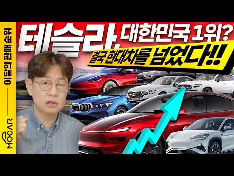 테슬라 모델Y 판매 폭증, 현대차 아반떼 넘어섰다! 9월 수입차 판매순위