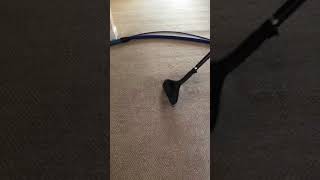 and you thought you needed new carpets