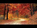 Arshil Ahade Charlie Sufi Bgm Budapest Autumn