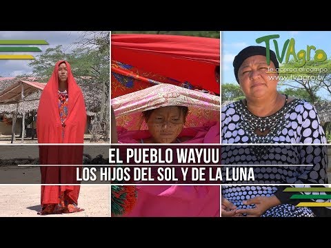 El Pueblo Wayuu: Los Hijos del sol y de la Luna - TvAgro por Juan Gonzalo Angel