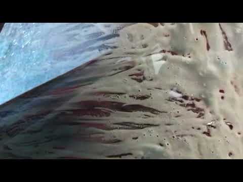 Awesome Sonny’s tunnel! Dirty Dog’s car wash-Tennessee