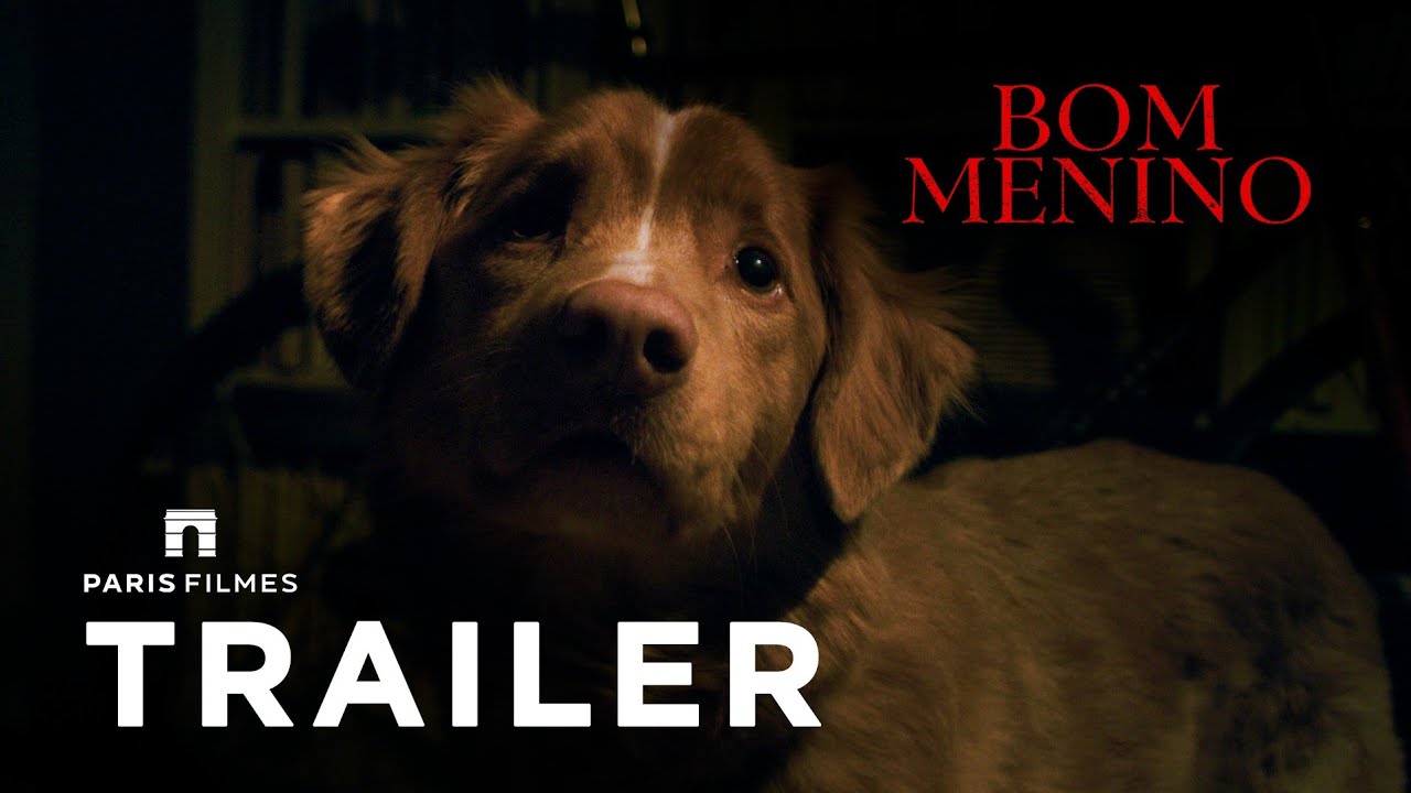 trailer Oficial