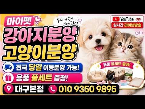 강아지분양 고양이분양 라이브❤️전국어디든분양가능❤️라이브 실시간…
