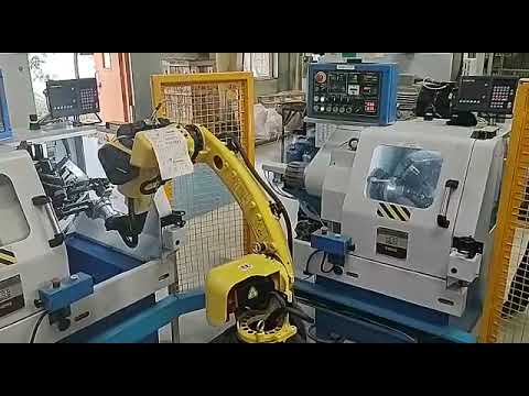 Hot Forging Robotic System