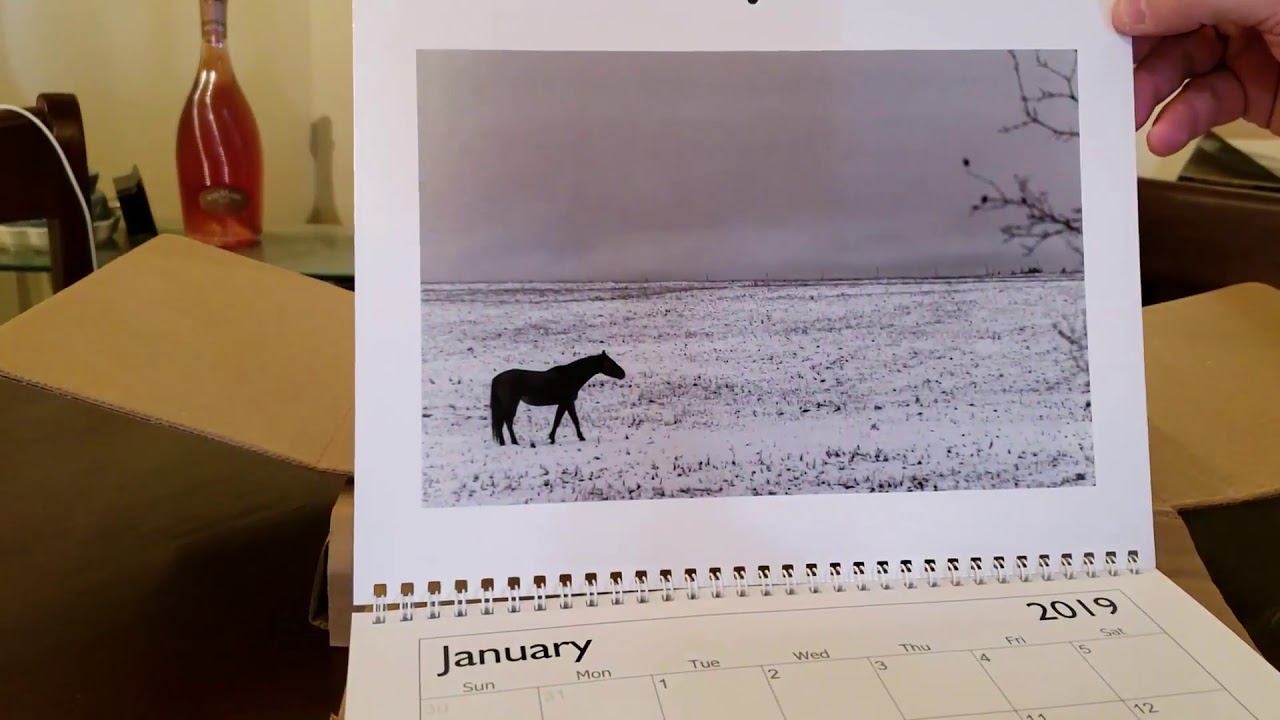 2019 FREAKTOGRAPHY CALENDARS ARE IN! 2019 Calendar | Gift Ideas