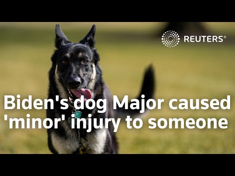 バイデン氏の愛犬メジャー号がホワイトハウスで誰かに「軽傷」を負わせたことについて (Biden's dog Major caused 'minor' injury to someone at White House)