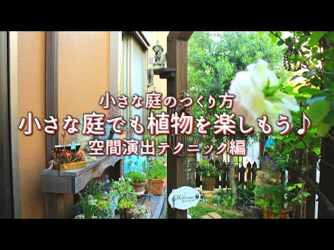 小さな庭に最適な5つの草 トピックス