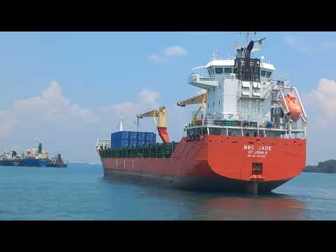 Sailing Marvels: Ship Spotting the Majestic Voyages | BULK CARRIER | CARGO SHIP | CONTAINER SHIP