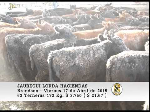 Venta de Hembras  - Jauregui Lorda - Brandsen. 17-04-2015