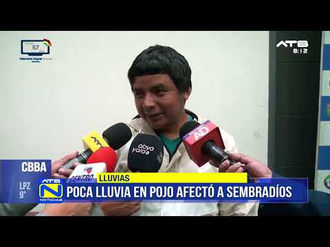 Sequía afecta producción agrícola en Pojo