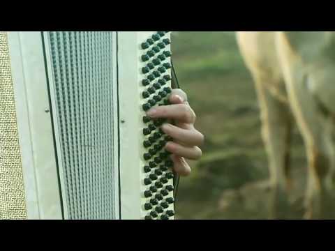 CLIP DO CEPO DE MADEIRA NO PÂNICO PÂNICO ENTREVISTA: GUGU GAITEIRO (C/ REPÓRTER VESGO) Programa Pân