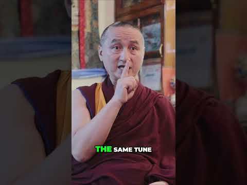Five-year search for the reincarnation of his teacher ❤️ #buddhiststory