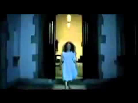 Edward Maya feat Deya - Twin Heart.flv