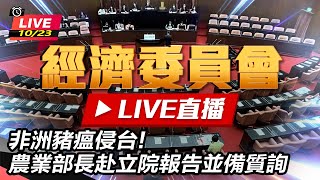 非洲豬瘟侵台!農業部長赴立院報告並備質詢