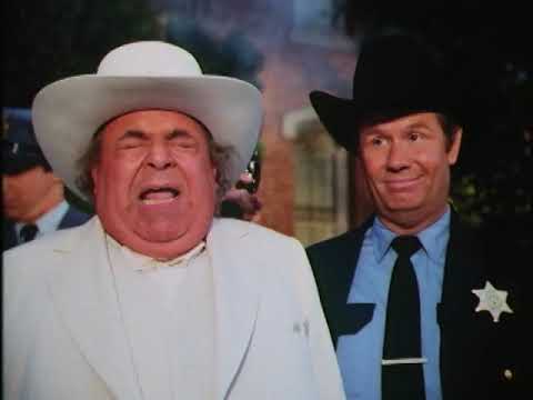 The Dukes Of Hazzard Season 1-7 DVD Release Ad