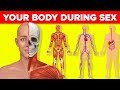 What Happens to Your Body While You Are Having Sex?