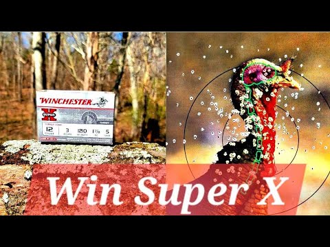 Winchester Super X - Pattern Test | Turkey Ammo Review