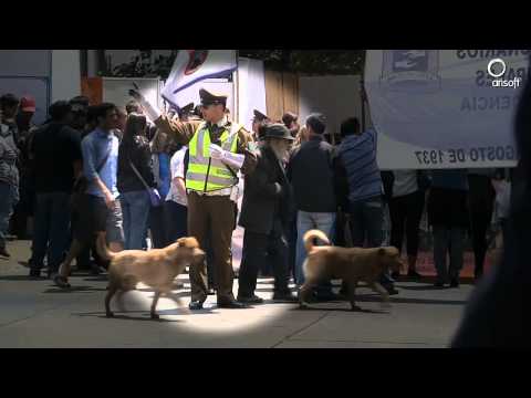 Las señales de un carabinero