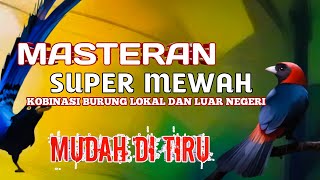 Download lagu 2 jam masteran SUPER MEWAH kombinasi burung lokal dan luar negeri mudah masuk mp3