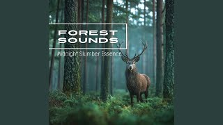 熟睡ギターBGM 睡眠の質を高めるヒーリング音楽...