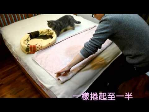 貓貓窩