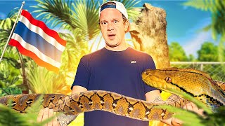 ON INSTALLE UN PYTHON GEANT DANS UN SET-UP XXL  ! 🐍 (feat : ​⁠@Chrisweeet)