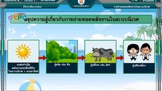 สื่อการเรียนการสอน การถ่ายทอดพลังงานในระบบนิเวศม.3วิทยาศาสตร์