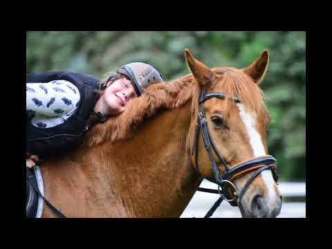 Fotoshoting mit Campino