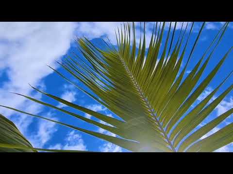 Most Beautiful places  beach  and emotional music in 4k HD Video quality 2021