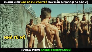 Thanh Niên Vào Tò Khi Còn Trẻ May Mắn Được Đại Ca Bảo Vệ | Review Phim