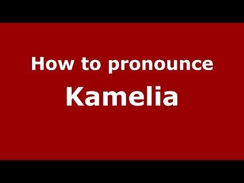 How to pronounce Kamelia (French) - PronounceNames.com