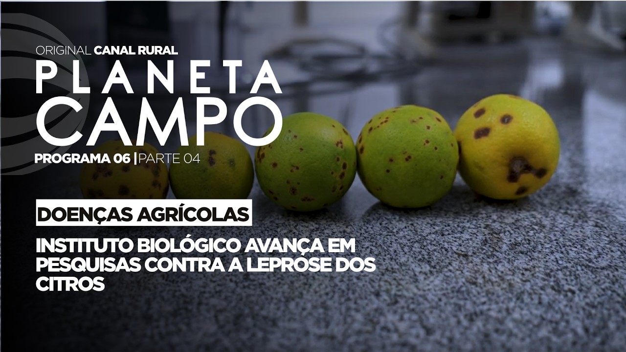 Instituto Biológico avança em pesquisas contra a leprose dos citros | Planeta Campo - ep.6 parte 4