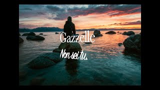 Gazzelle-Non sei tu|Testo