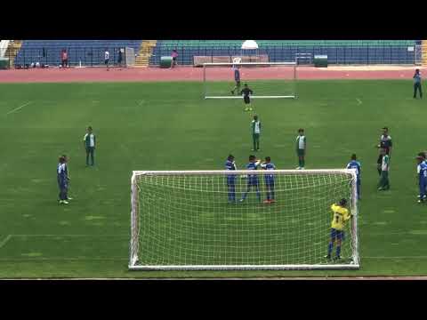 Branimir goal vs Levski