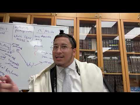 Bet Halevi - What Is The Real Cause And Effect? Rabbi Zino 5783