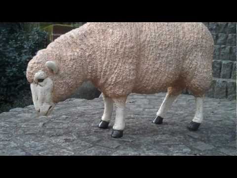 Dolly The Sheep Statue
