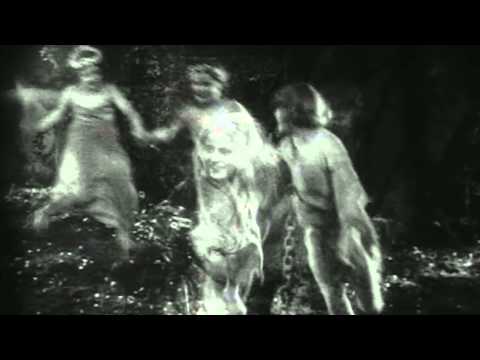 Maïeutiste - The Fall