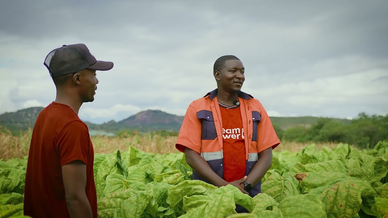 A day with Young Tobacco farmers  