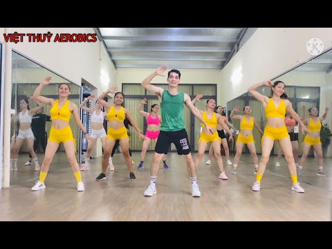 22 min Aerobic for beginners | Effective weight loss | lose belly fat at home | VIET THUY #16