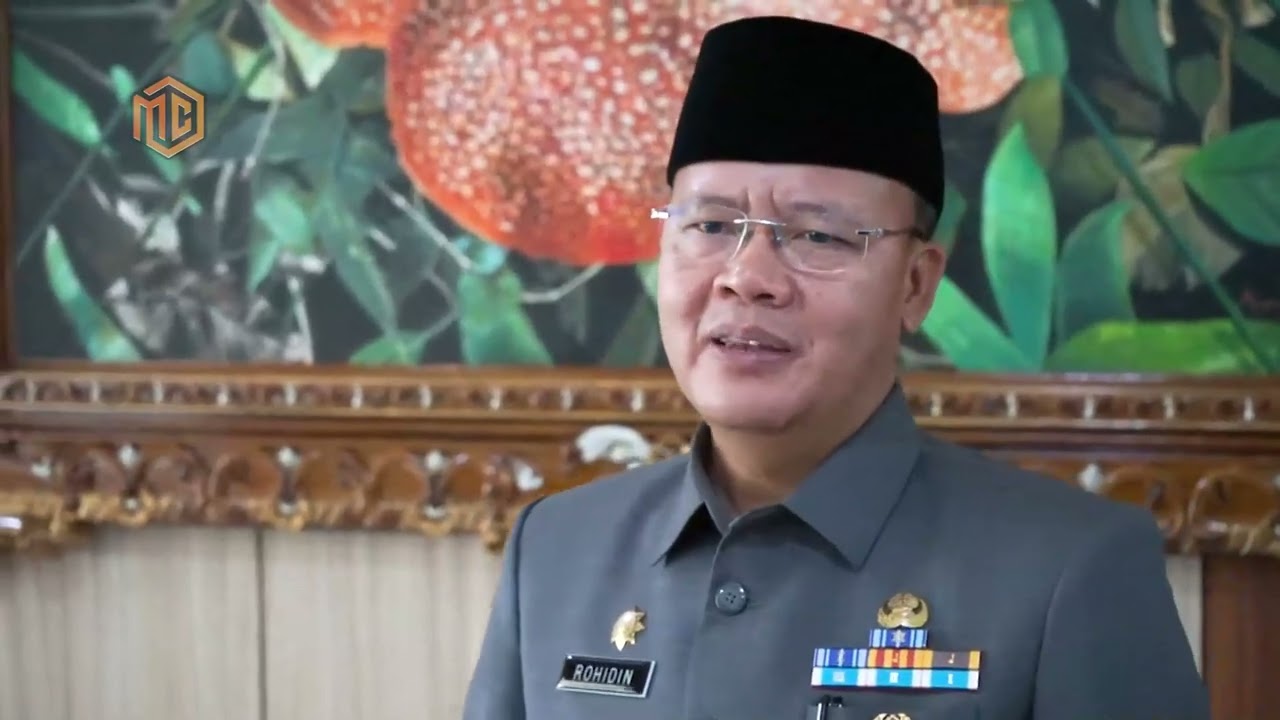 15 November 2023