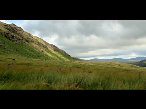 harshit khanagwal Film and Video Editor